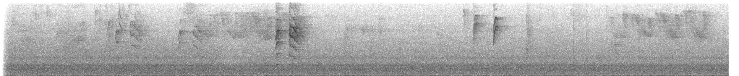 Тиран-інка андійський (підвид superciliaris) - ML619004253