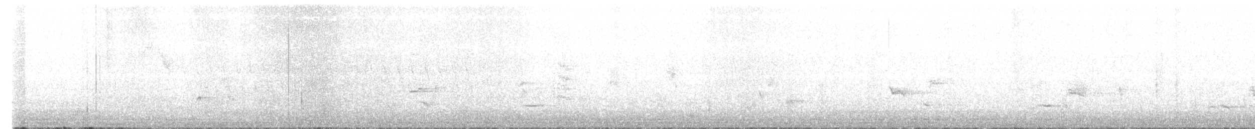 Paruline à capuchon - ML619006112