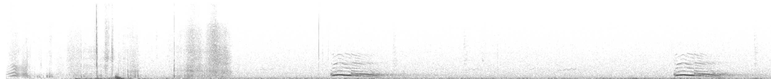 Barred Owl - ML619006443