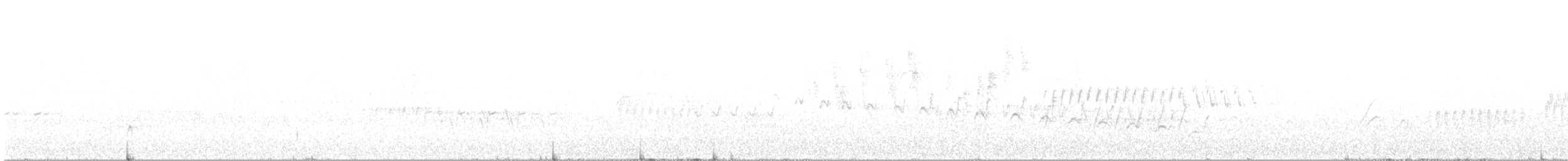 Каньонный крапивник - ML619008643