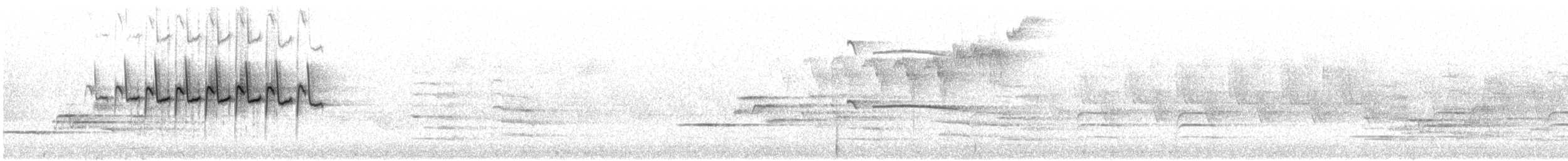 キヅタアメリカムシクイ（coronata） - ML619010743