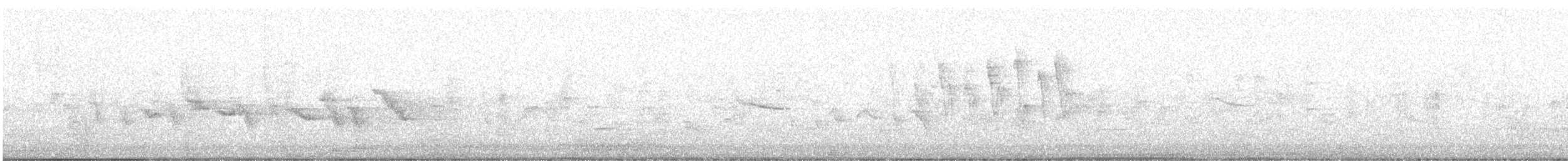 Малая вильсония - ML619010923