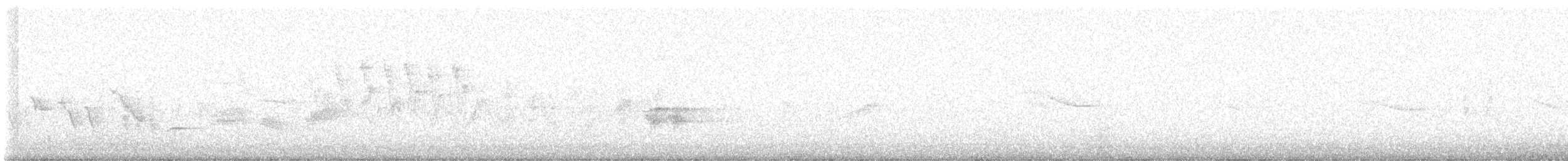 סבכון שחור-כיפה - ML619010934