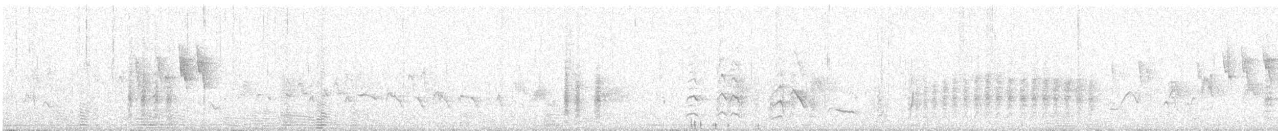 Paruline à calotte noire - ML619011536