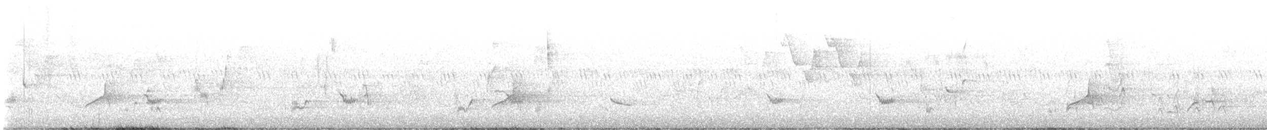 Тремблер прямодзьобий - ML619011591