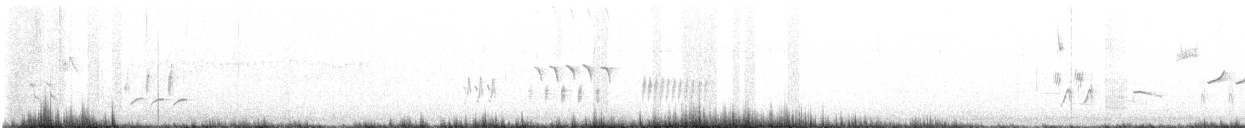 גיבתונית לבנת-גבה - ML619011659
