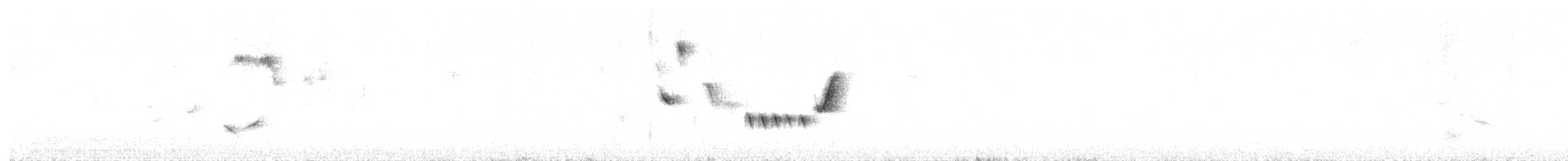 Southern House Wren - ML619011894