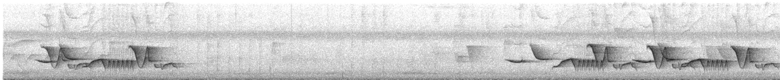 Troglodyte des halliers - ML619012489