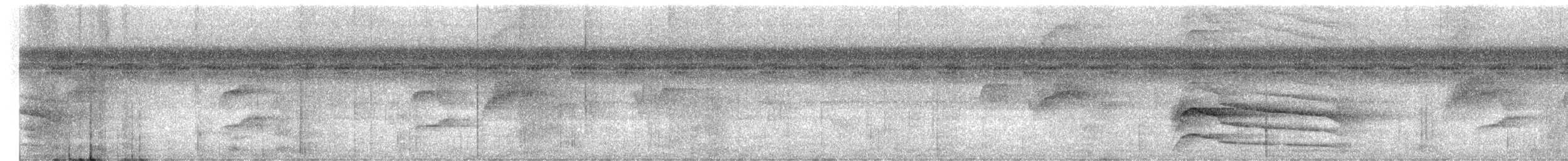 Orange-eyed Flatbill - ML619013175