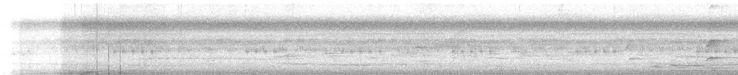 Malabar Gray Hornbill - ML619016176