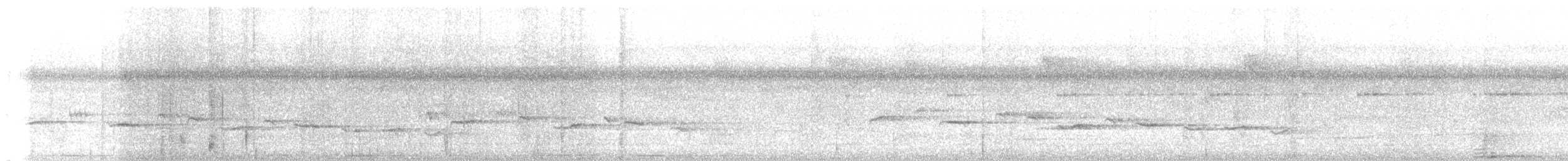 holub zelenokřídlý - ML619016291