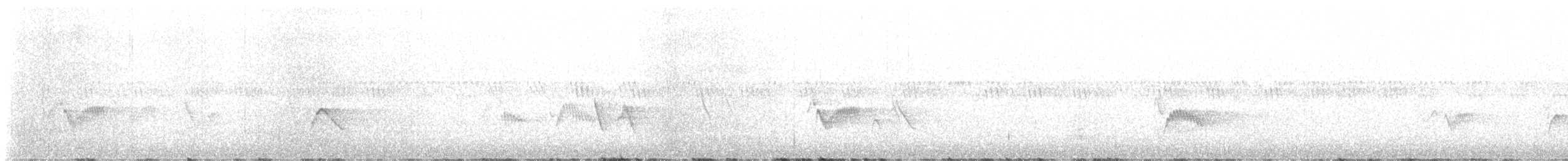 Cassin's Vireo - ML619016404