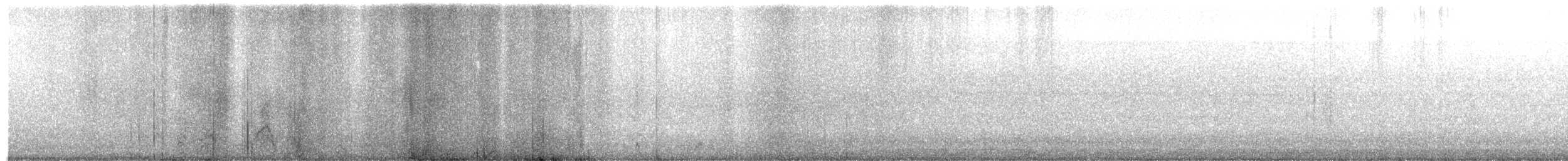 黑冠麻鷺 - ML619016624