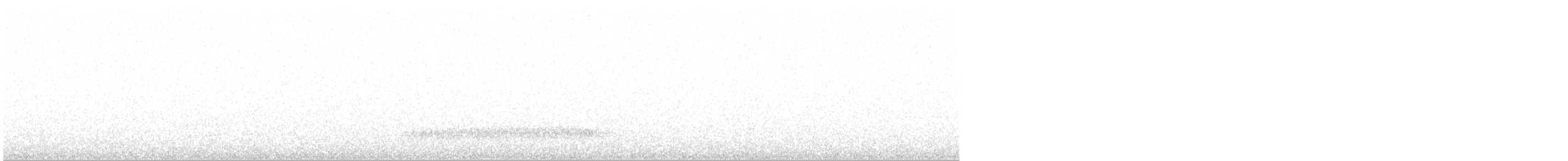 Сипуха крапчаста - ML619018109