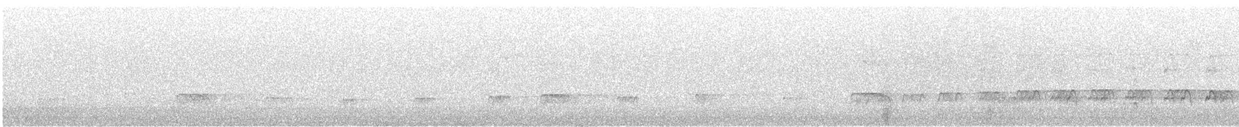 Eurasian Oystercatcher (Western) - ML619019448