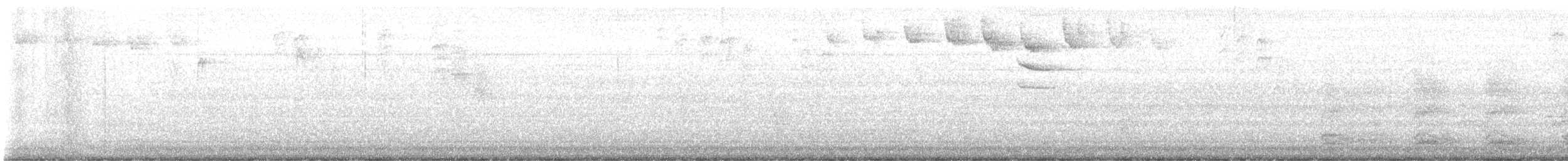 Paruline rayée - ML619019486