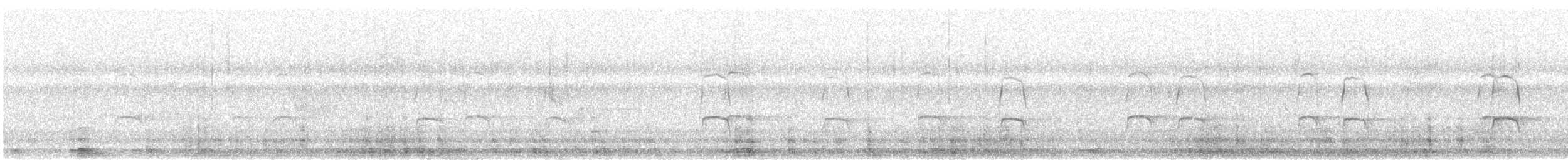 Austernfischer (ostralegus/longipes) - ML619019500