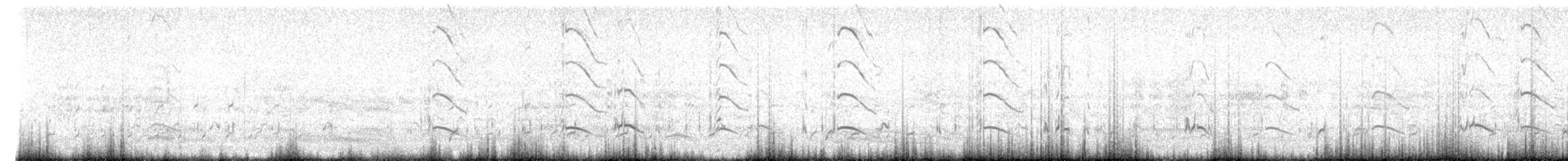 Säbelschnäbler - ML619019604