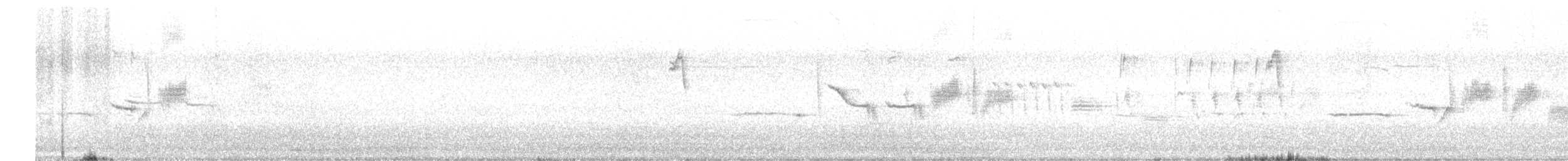 strnadec bělopásý - ML619019694