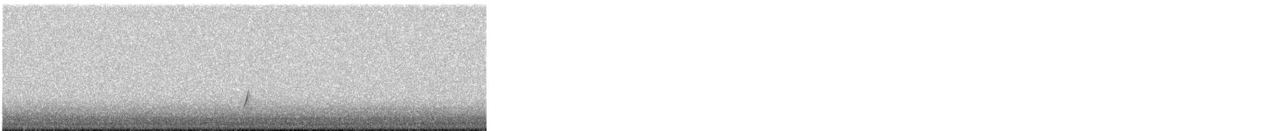 斑胸秧雞 - ML619019824
