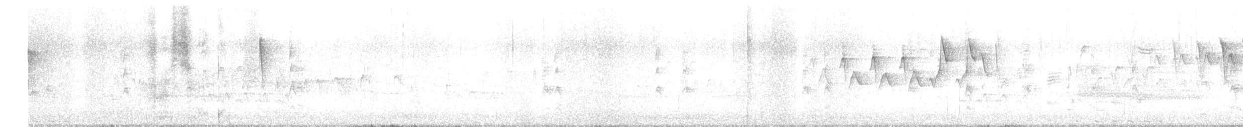 pygmérørdrum - ML619019847