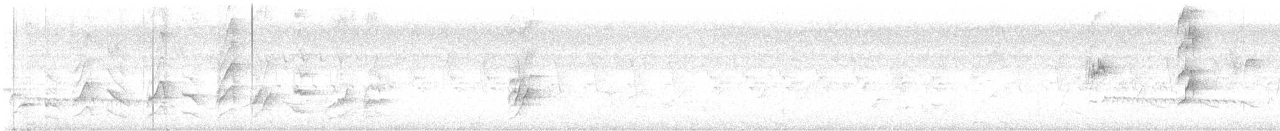 Сливоголовый кольчатый попугай - ML619020077