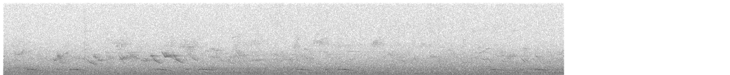 holoubek šupinkový - ML619021758