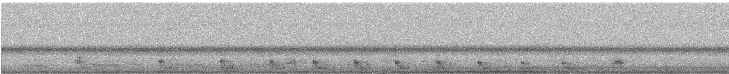 Black-crowned Night Heron - ML619021979