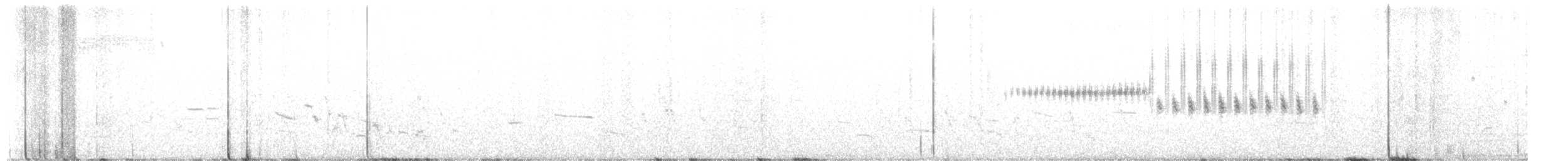 Карнатка лучна - ML619022089