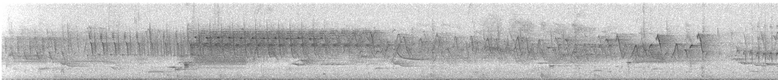 Willow Flycatcher - ML619022878