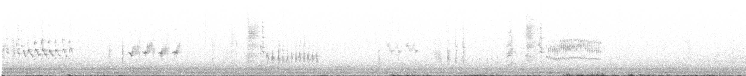 Травяной крапивник (hornensis/falklandicus) - ML619023741