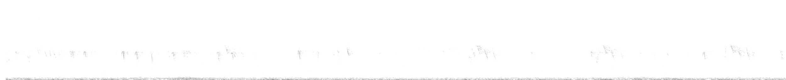 Шишкар ялиновий - ML619023802