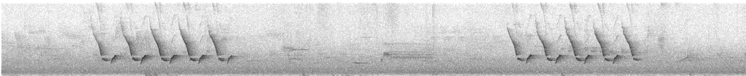 Поплітник каролінський - ML619024502