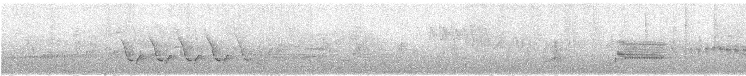 Поплітник каролінський - ML619024503