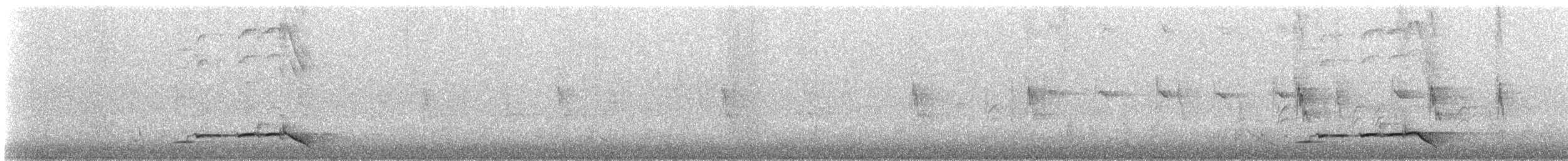 svartnakkepirol - ML619024583