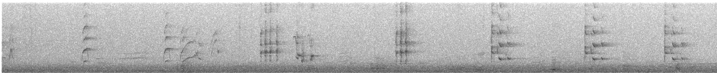 svartnakkepirol - ML619024584