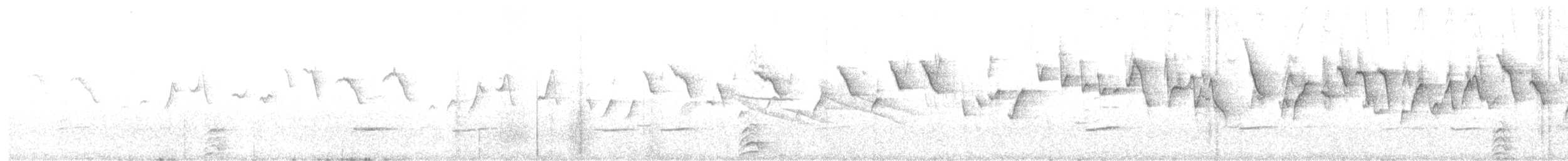 雑種 キンガシラアメリカムシクイ ｘ カワリアメリカムシクイ - ML619024648