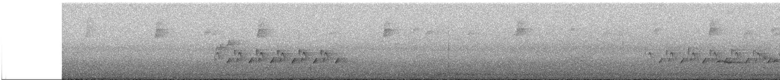 チャバラマユミソサザイ - ML619025386