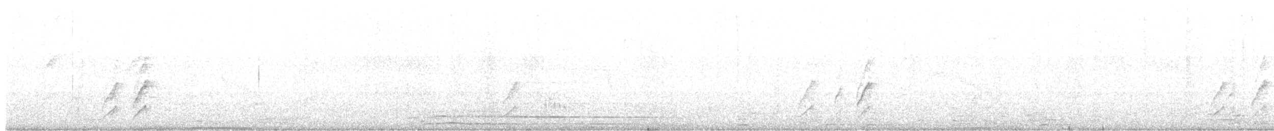Кордильерская иглохвостка - ML619025394