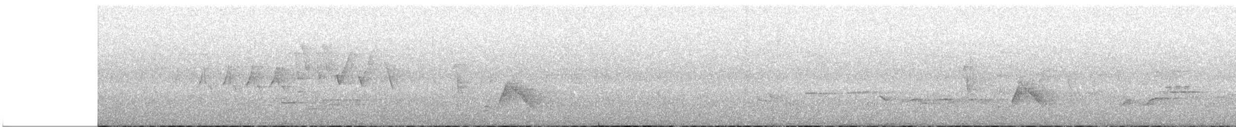 メジロモズモドキ - ML619025490