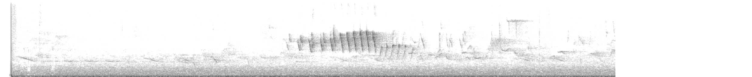 Малая вильсония - ML619025702