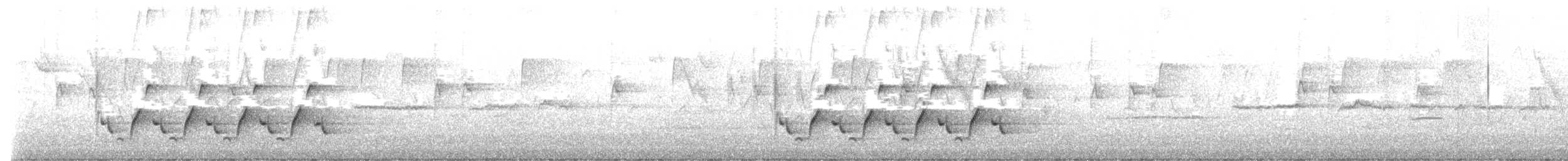Поплітник каролінський - ML619026075