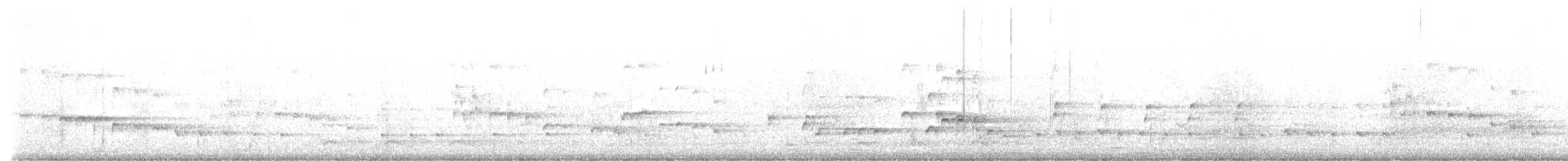 orel bělohlavý - ML619026596