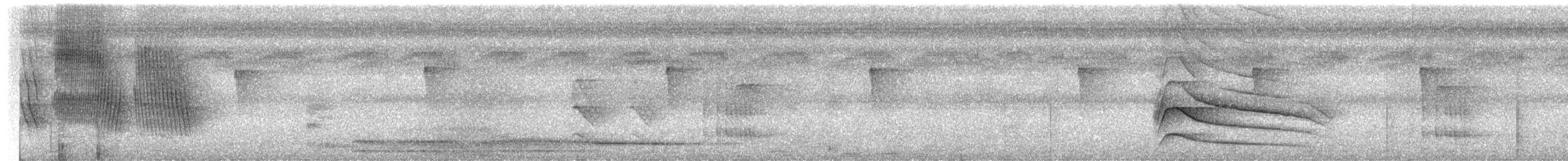 Kestane Karınlı Koca Tohumcul - ML619027273