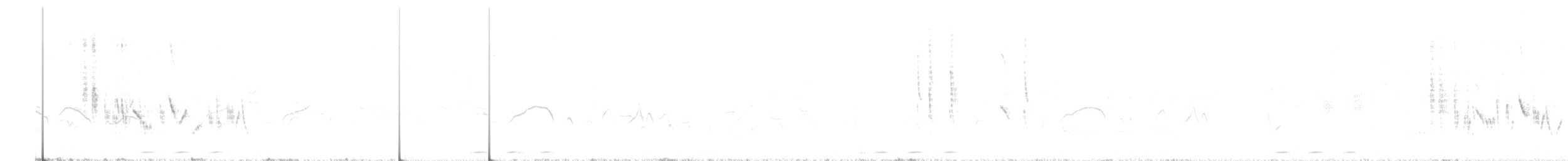Western Black-eared Wheatear - ML619027905