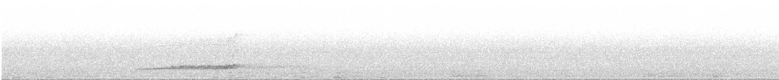 Сипуха крапчаста - ML619028392