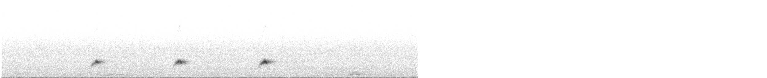 Nachtschwalbe - ML619028566