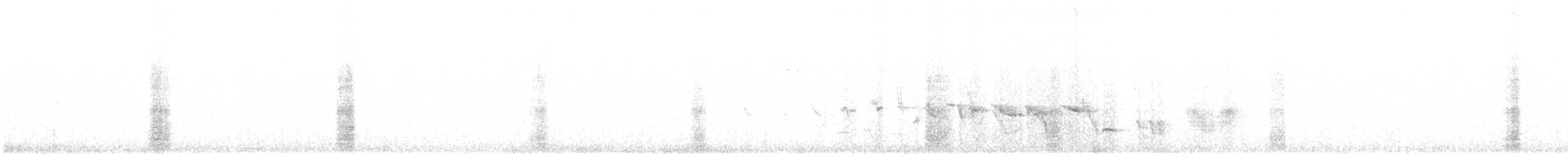 einerskrike (woodhouseii gr.) - ML619029279