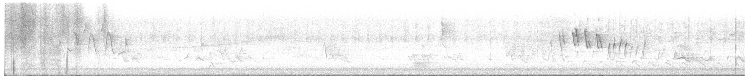 Paruline à calotte noire - ML619029604