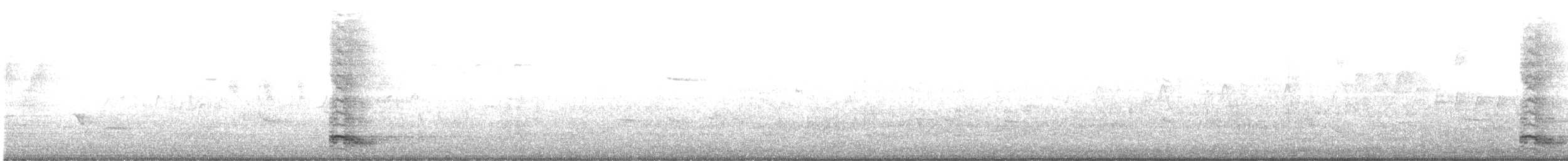 Yellow-crowned Night Heron - ML619029700